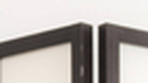 exsoticbeatrix exsoticbeatrix