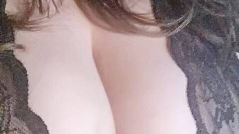 Dainasty Dainasty