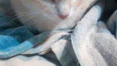 Rubiasexy69 Rubiasexy69