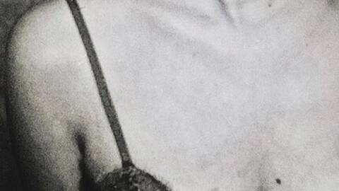 Tangie_tangerine Tangie_tangerine