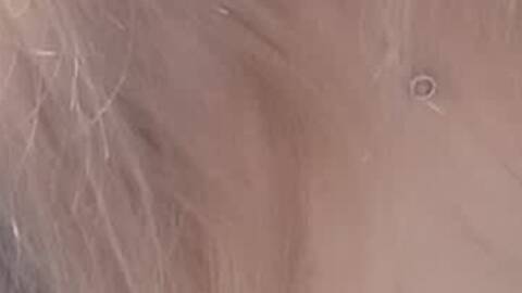 Stronzettadolce Stronzettadolce