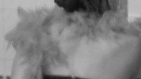 charlotte62 charlotte62